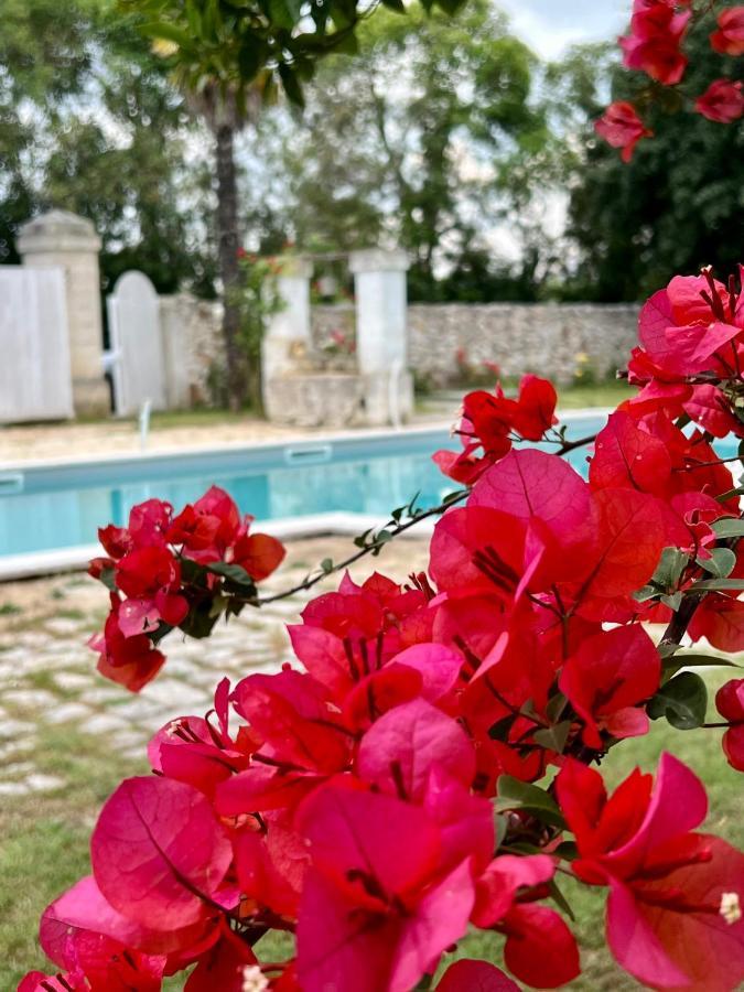 Villa Encantamiento - Dimora Gelsomino - Masseria Storica Nel Cuore Della Puglia Con Piscina Latiano Exteriör bild
